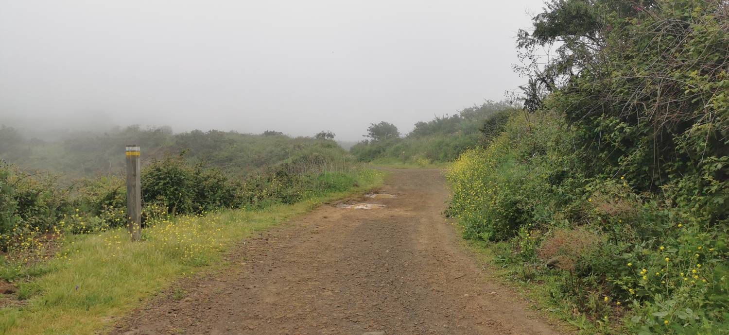 Parque Rural de Teno - Risco Verde slika 11