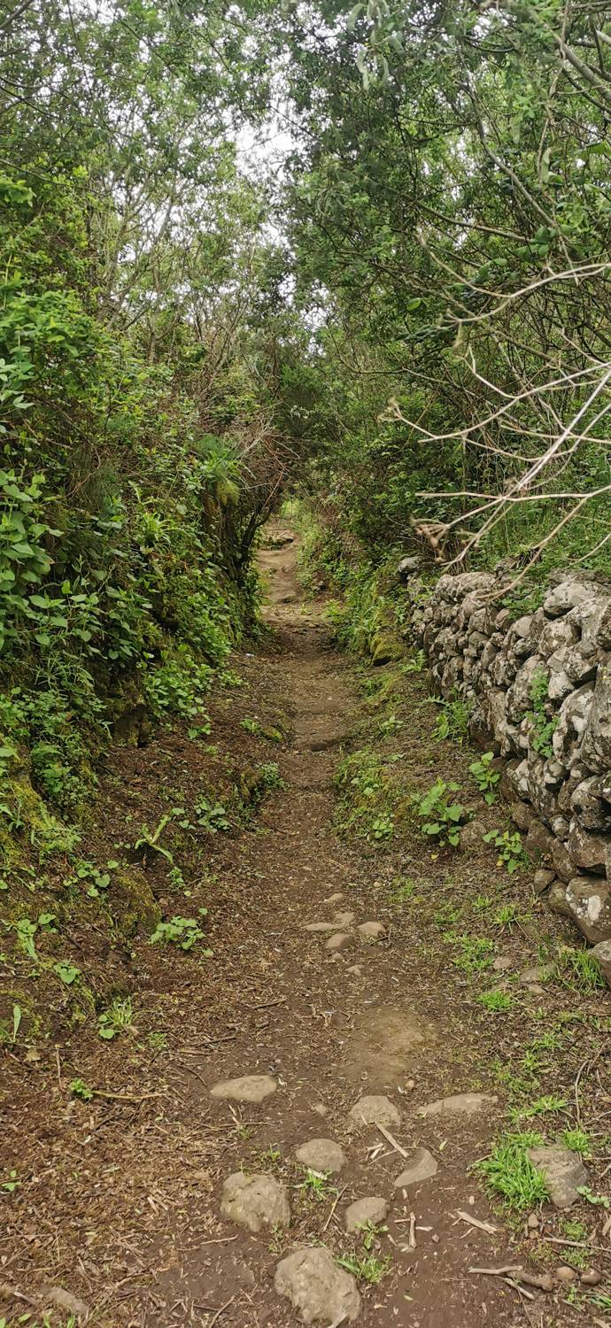Parque Rural de Teno - Risco Verde slika 23