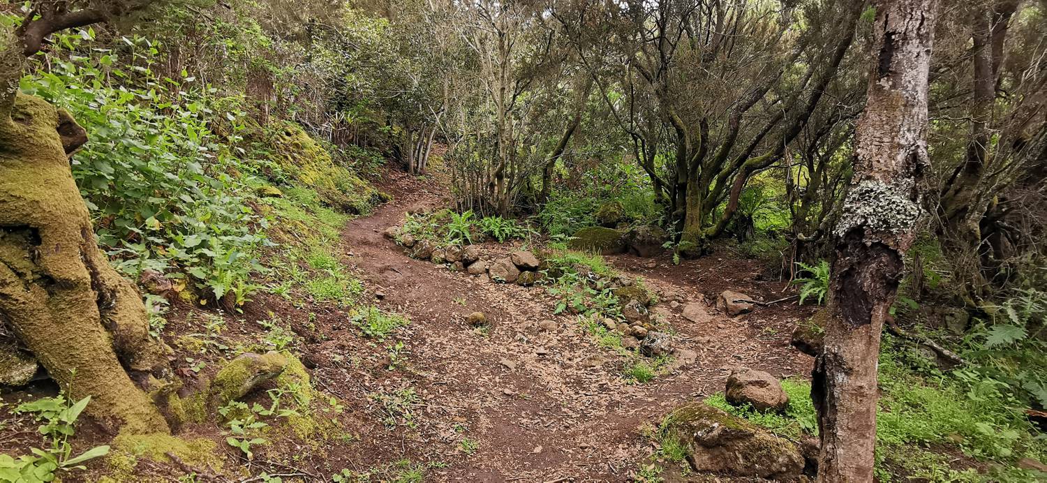 Parque Rural de Teno - Risco Verde slika 30