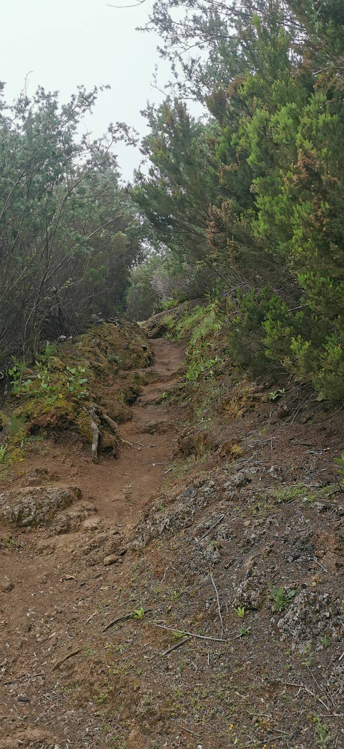 Parque Rural de Teno - Risco Verde slika 32