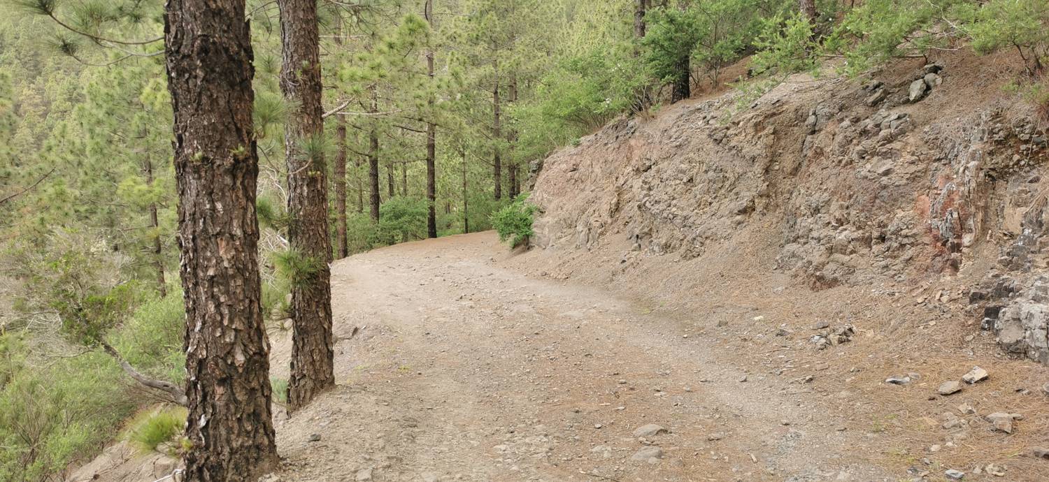 Parque Rural de Teno - Risco Verde slika 40