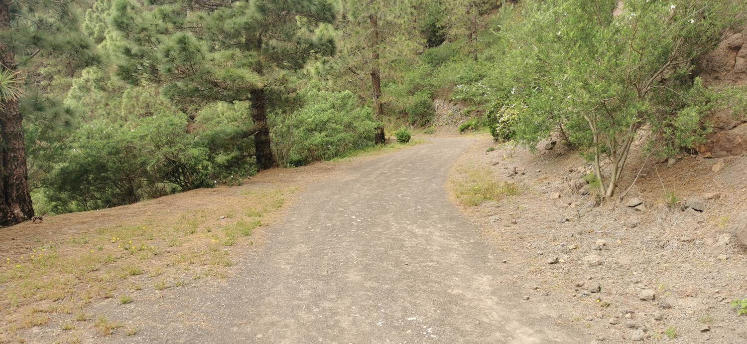 Parque Rural de Teno - Risco Verde slika 43