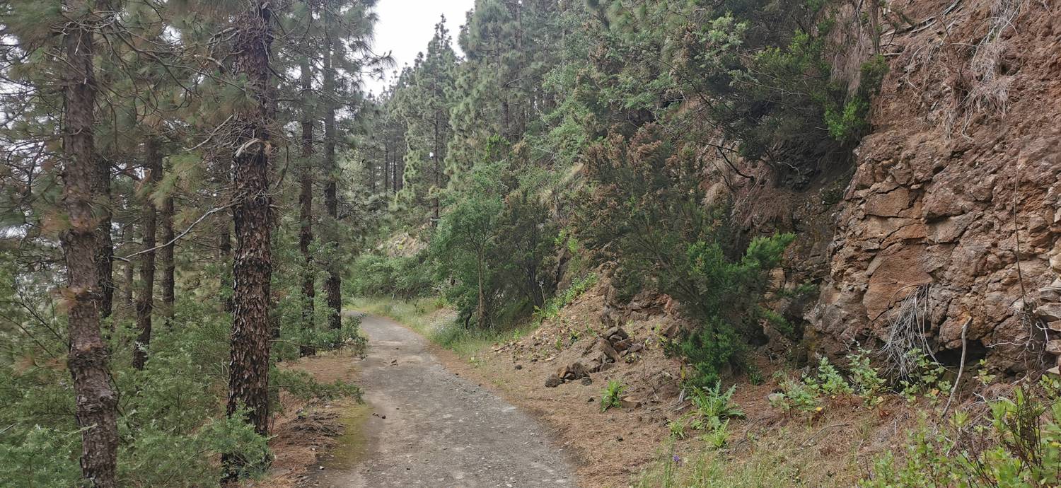 Parque Rural de Teno - Risco Verde slika 47