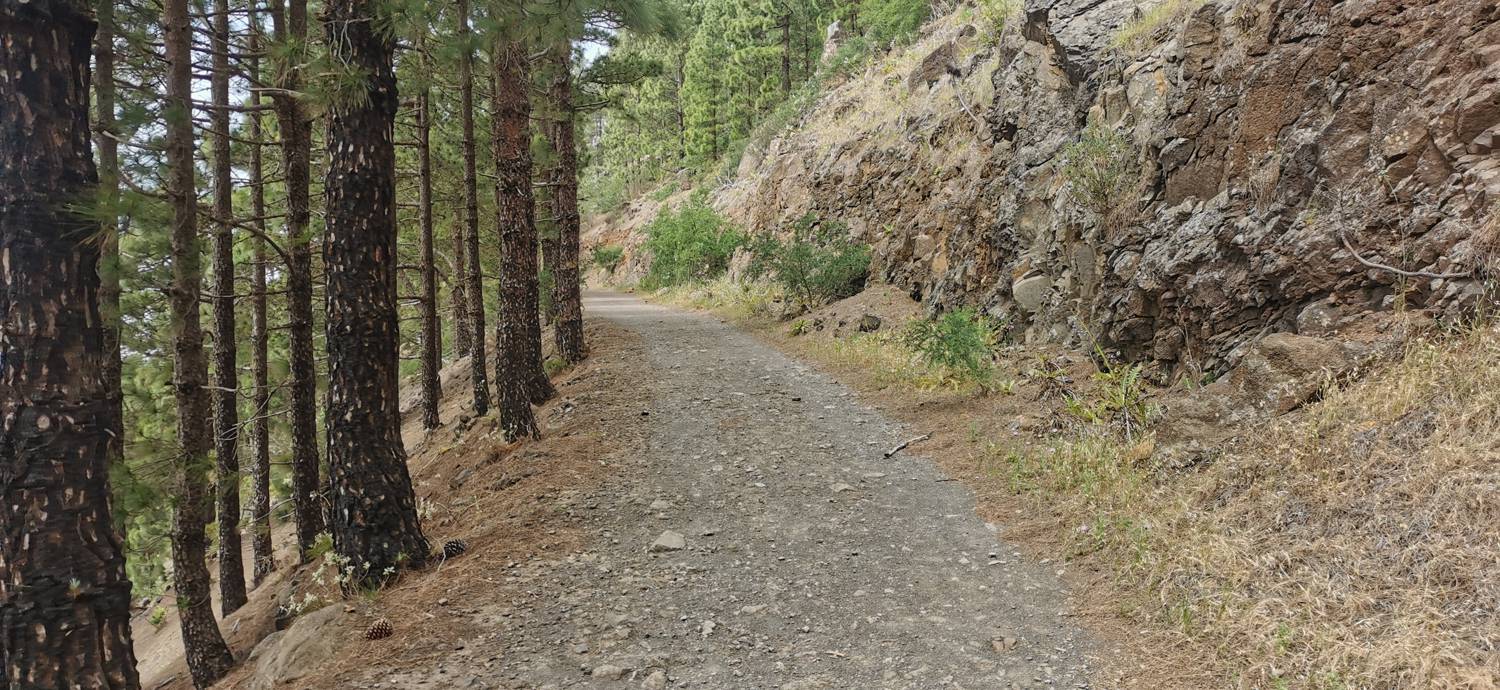 Parque Rural de Teno - Risco Verde slika 49