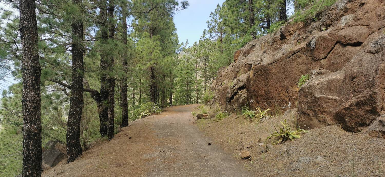 Parque Rural de Teno - Risco Verde slika 51