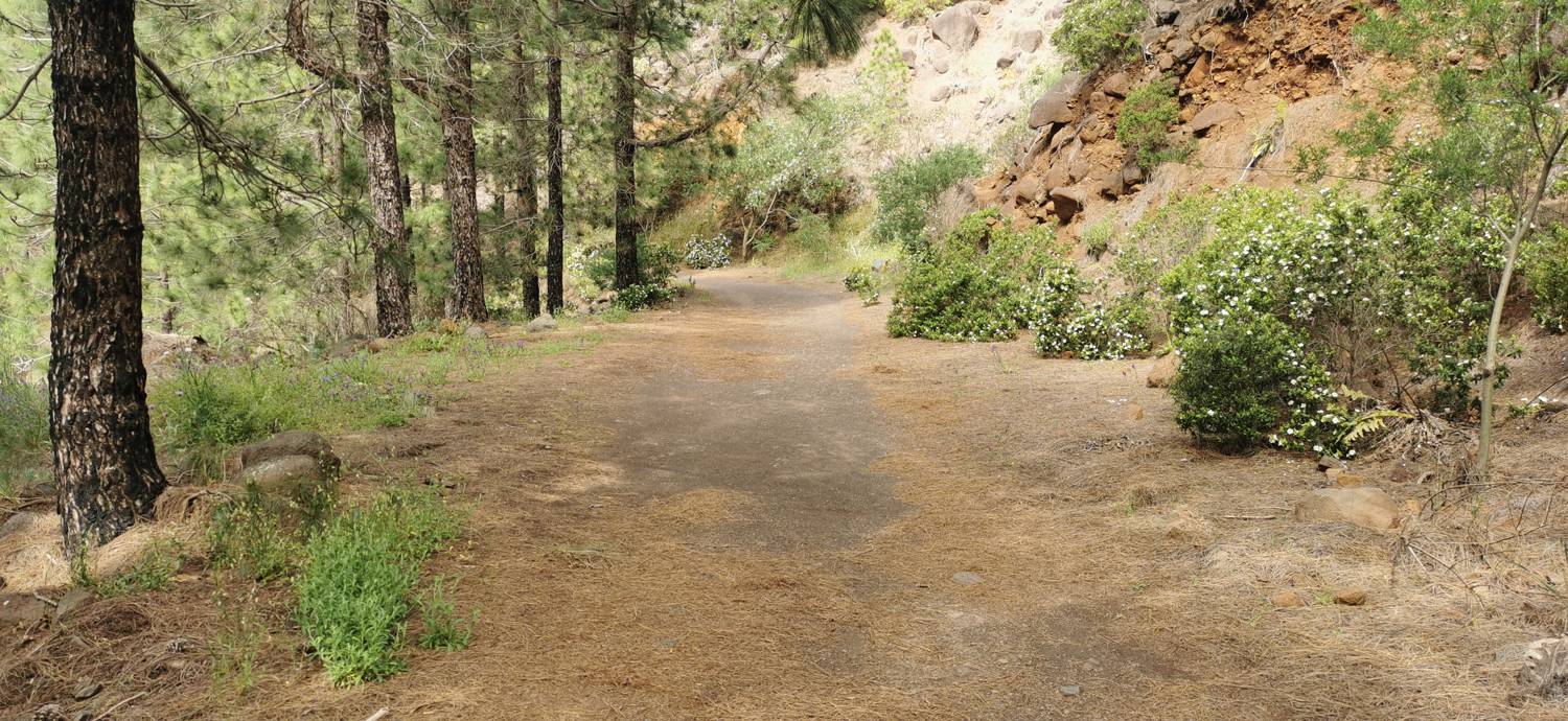Parque Rural de Teno - Risco Verde slika 52