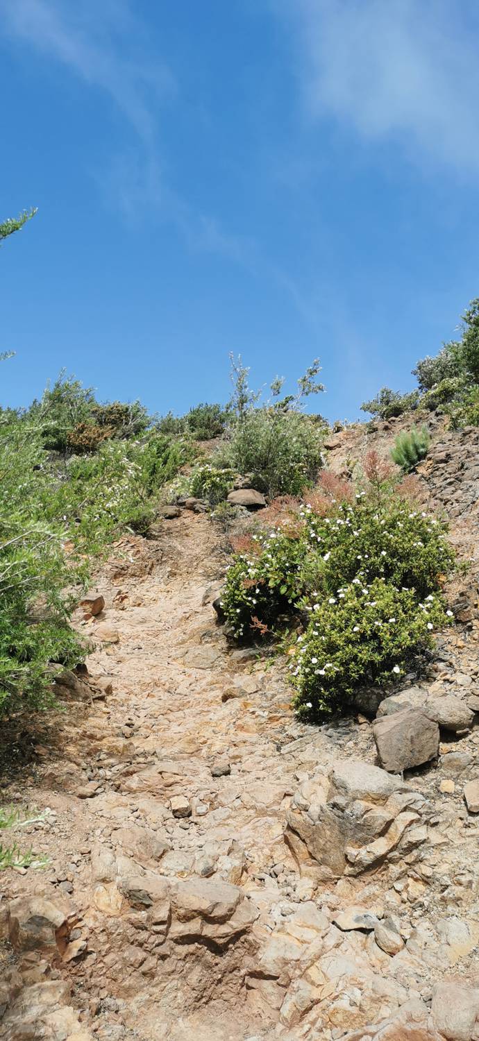 Parque Rural de Teno - Risco Verde slika 58