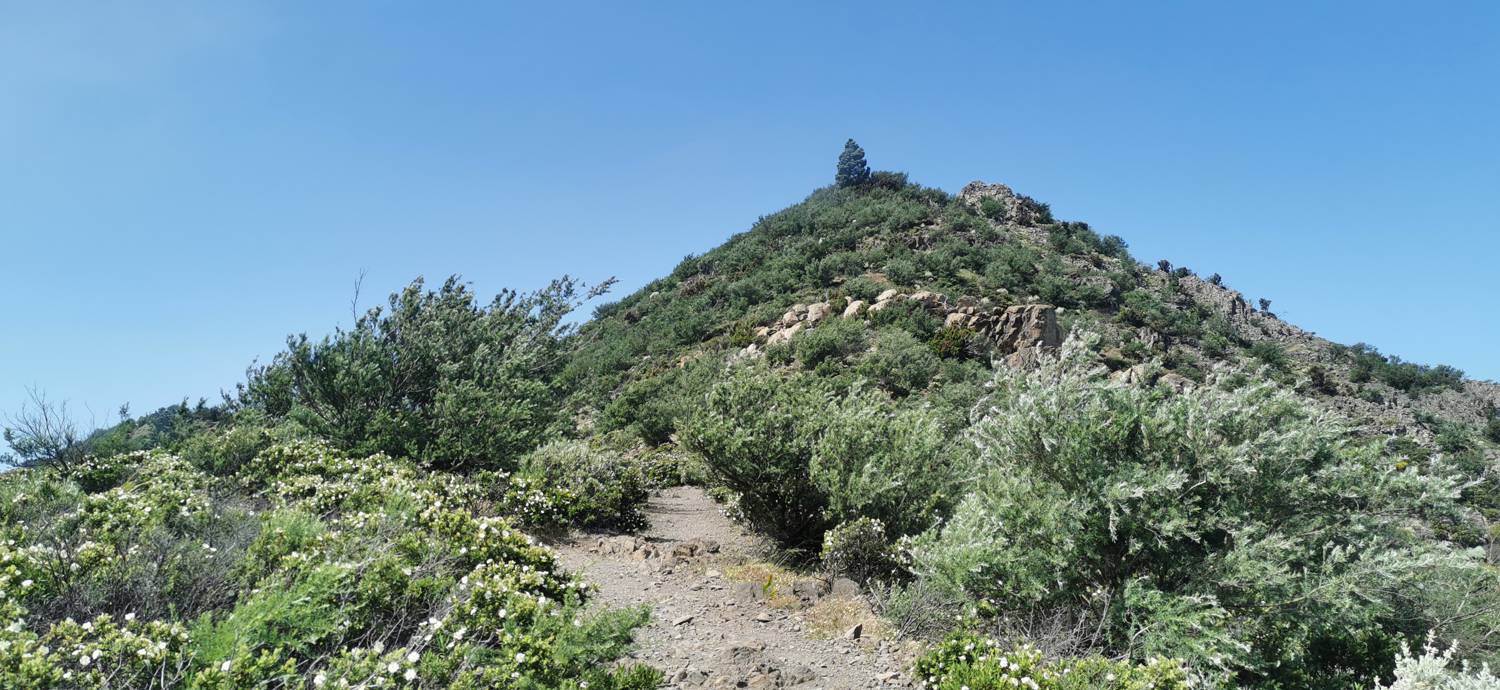 Parque Rural de Teno - Risco Verde slika 63