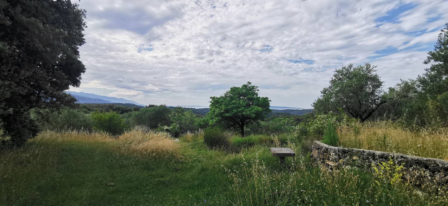Vršanov vrh main photo