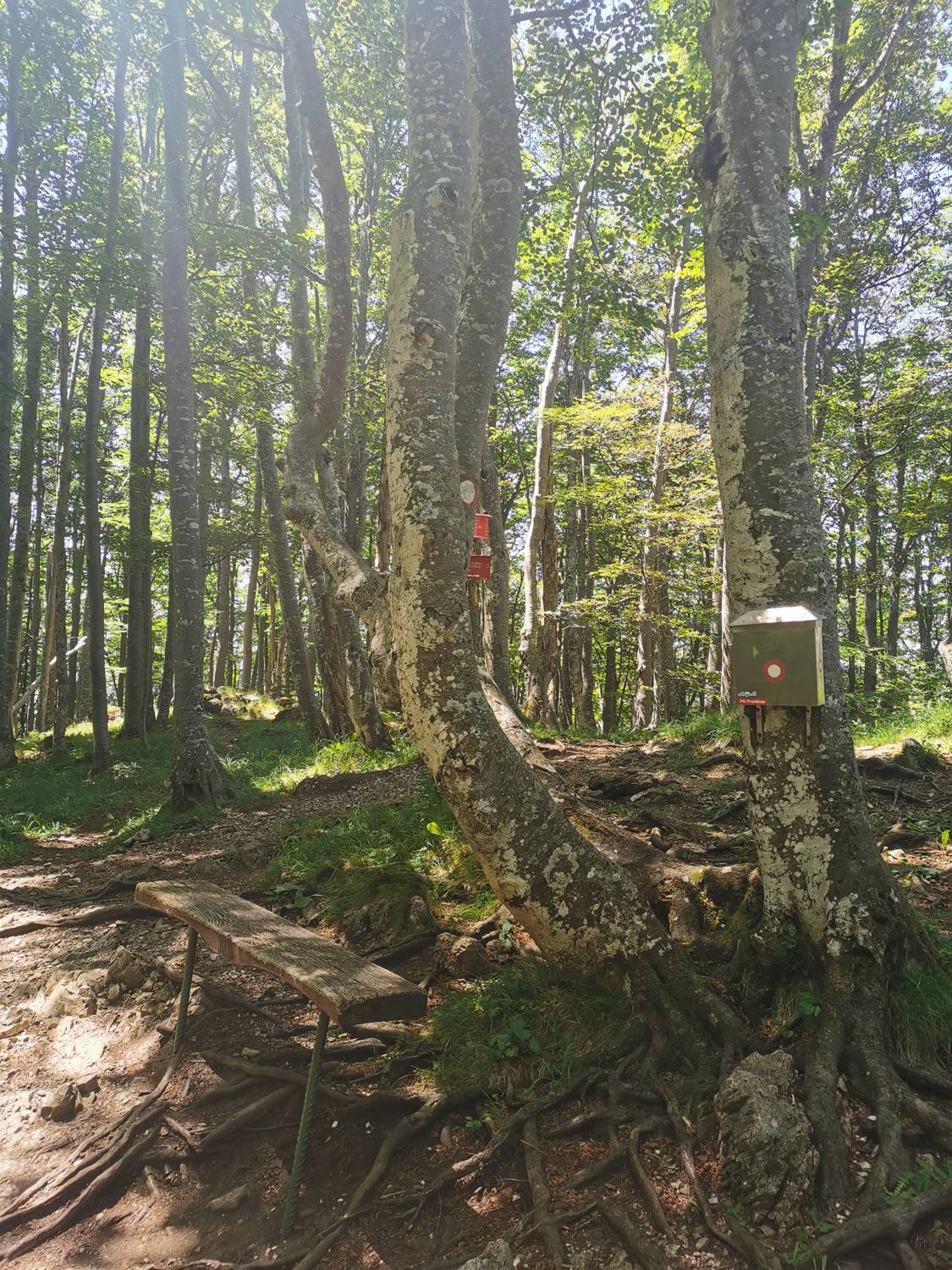 Potoška gora main photo