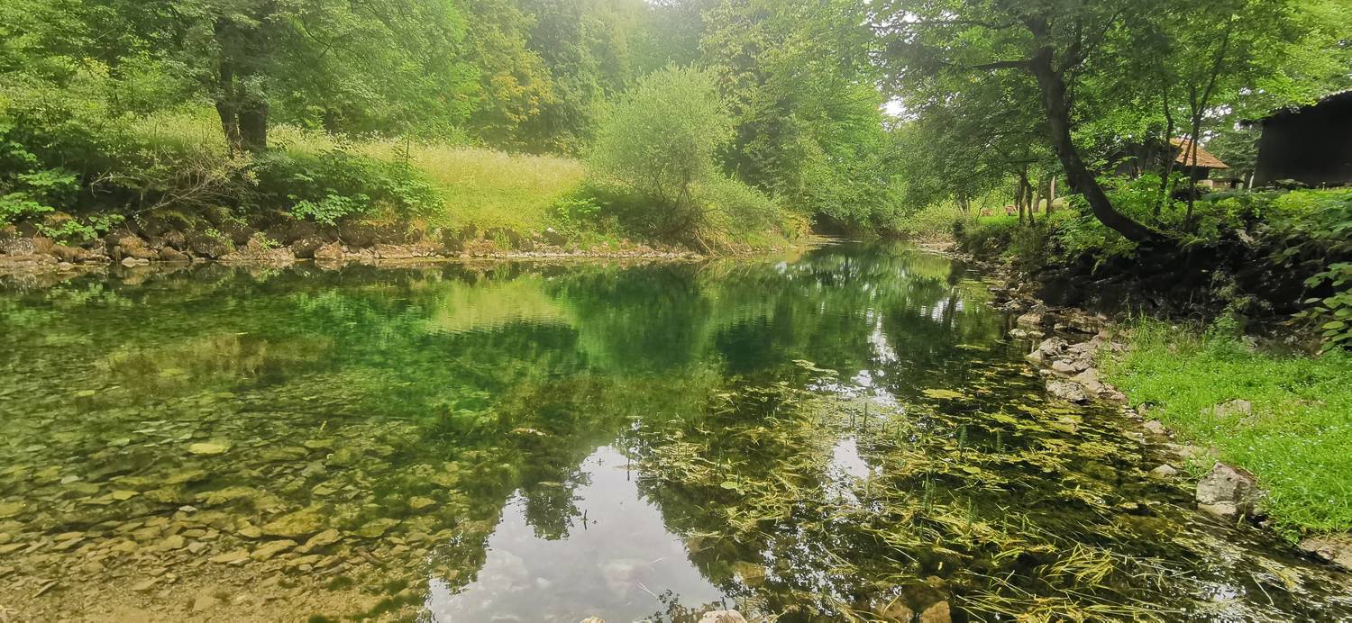 Močilnik (izvir Ljubljanice) main photo