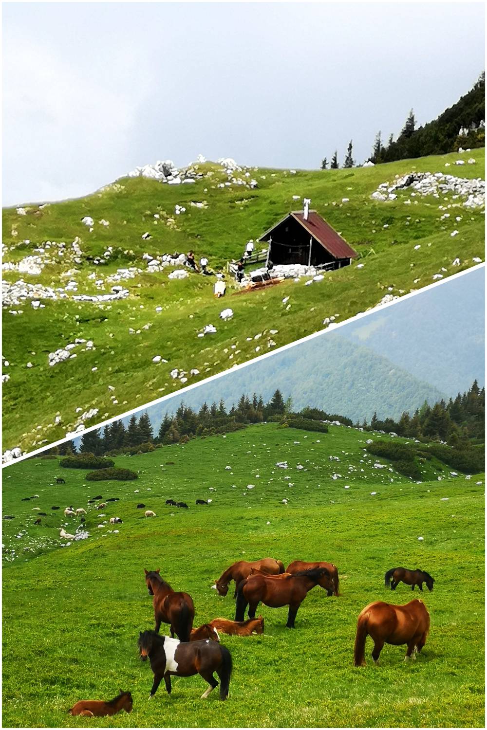 Bivak na Belščici main photo
