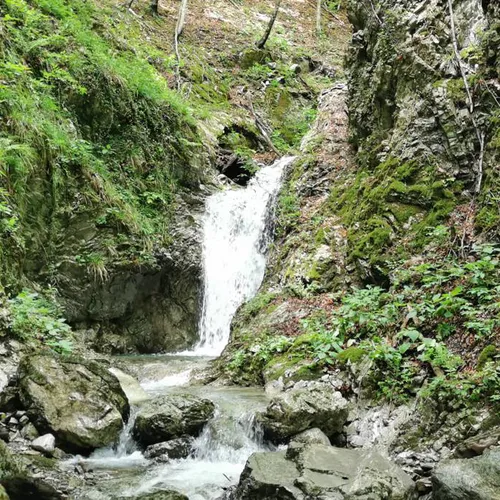 Parkirišče pred Podbrdom - Driselpoh - glavna slika
