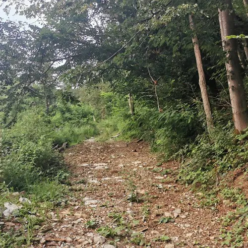 Plave - Prižnica - glavna slika