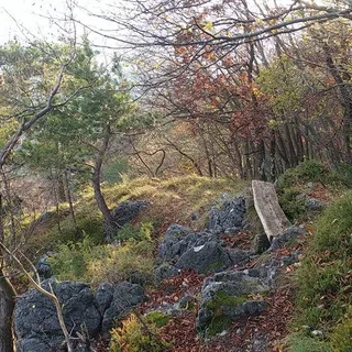 Kucelj nad Polhovim Gradcem main photo