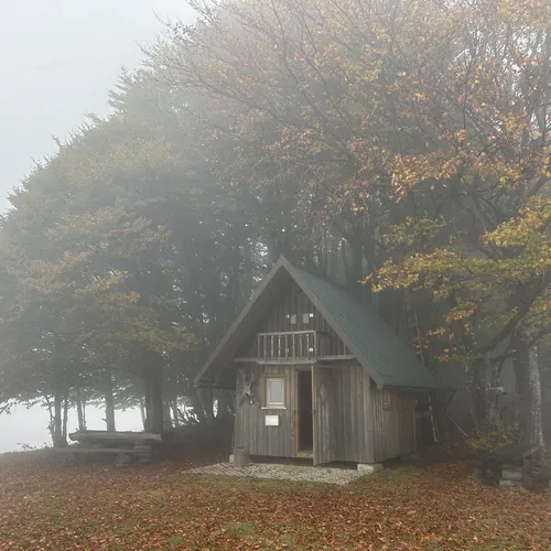 Orehek (Bukovo) - Kojca - main photo