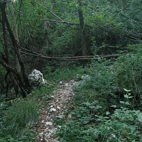 Plave - Prižnica - glavna slika