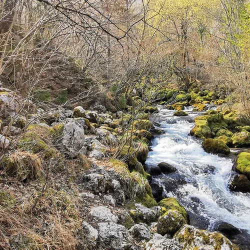 Plužna - Izvir Glijuna - main photo