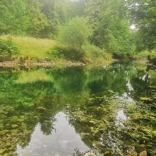 Močilnik (izvir Ljubljanice) main photo