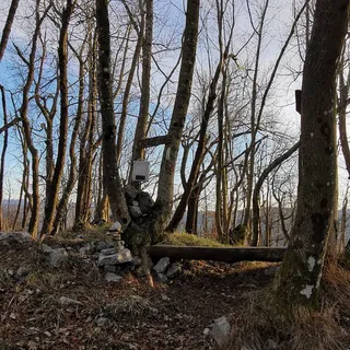 [object Object] - [object Object] main photo