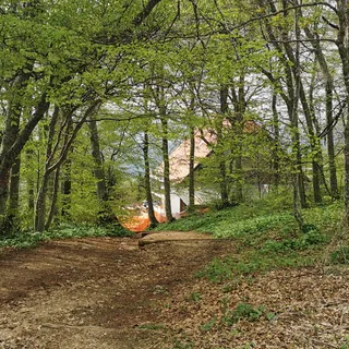 [object Object] - [object Object] glavna slika