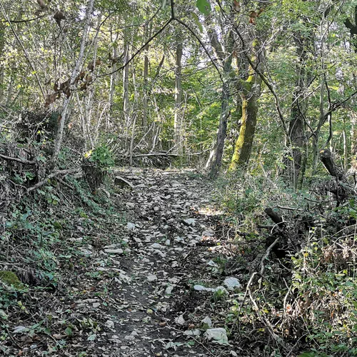 Deskle - Prižnica - main photo