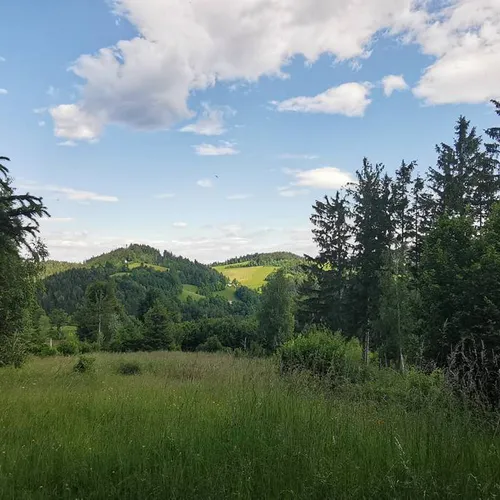 Podlanišče - Veliki vrh (nad Cerknim) - glavna slika